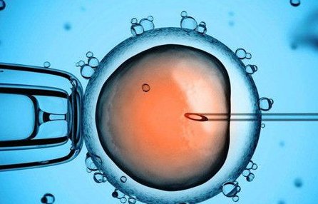 贵阳试管婴儿怎么样（贵阳试管婴儿成功率较好的是哪家）