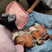 不孕不育在惠州市做试管的费用有多少？一文告诉你做三代试管建档的流程有哪些