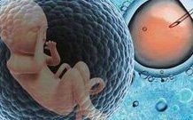 金华市做试管婴儿怎么样？推荐这几家试管医院