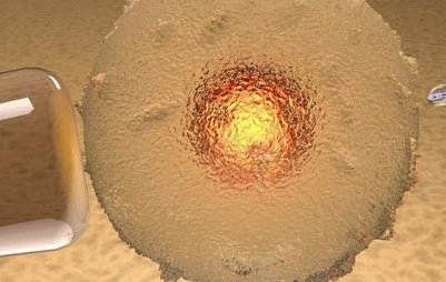 试管婴儿要攒几个胚胎（试管婴儿一般培育几个胚胎）