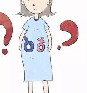 河北的不错的试管医院有哪些？河北试管医院的先进技术设备有哪些？河北试管医院的成功案例有哪些？